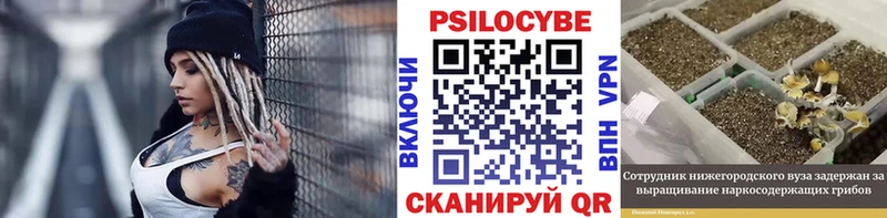 KRAKEN сайт закладка Лукоянов Псилоцибиновые грибы мухоморы