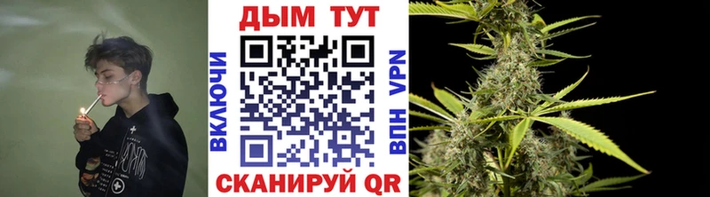 Марихуана Bruce Banner  купить наркотики цена  Лукоянов 